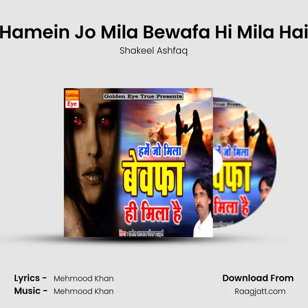 Hamein Jo Mila Bewafa Hi Mila Hai - Shakeel Ashfaq album cover 