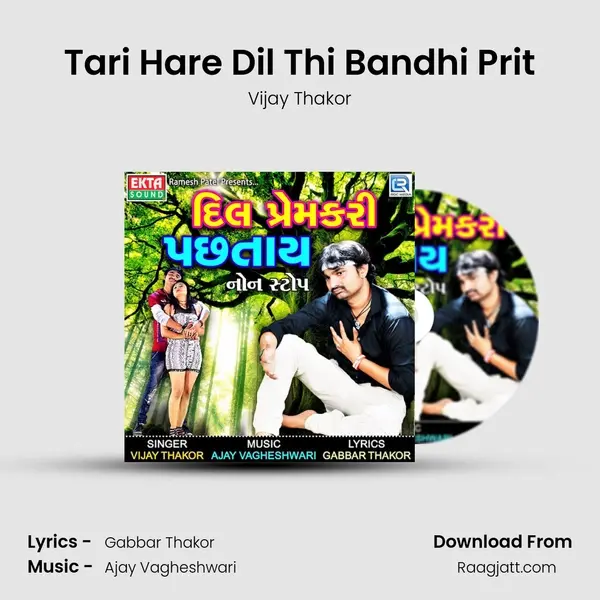 Tari Hare Dil Thi Bandhi Prit mp3 song