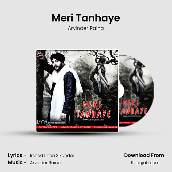 Meri Tanhaye - Arvinder Raina album cover 