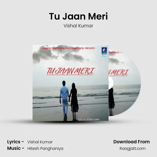 Tu Jaan Meri - Vishal Kumar album cover 