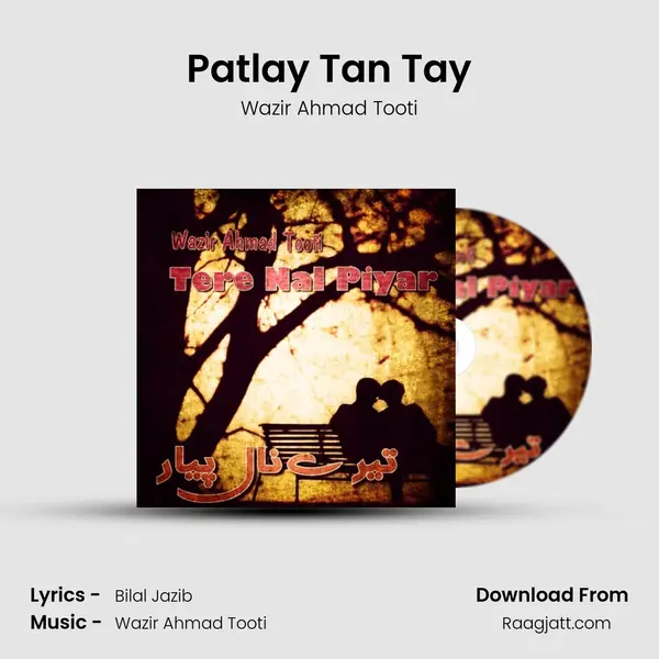 Patlay Tan Tay - Wazir Ahmad Tooti album cover 