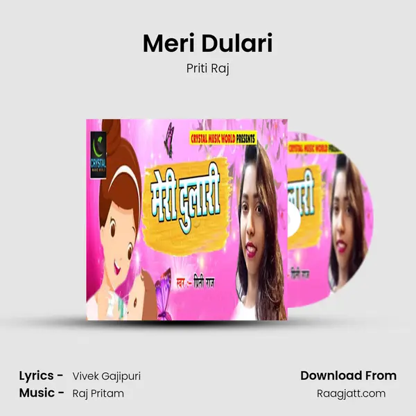 Meri Dulari - Priti Raj album cover 