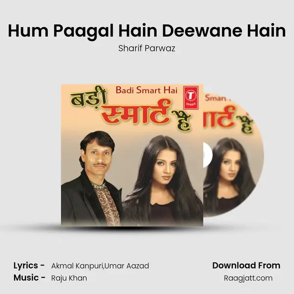 Hum Paagal Hain Deewane Hain mp3 song