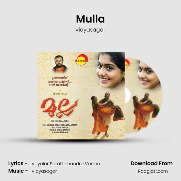 Mulla - Vidyasagar album cover 