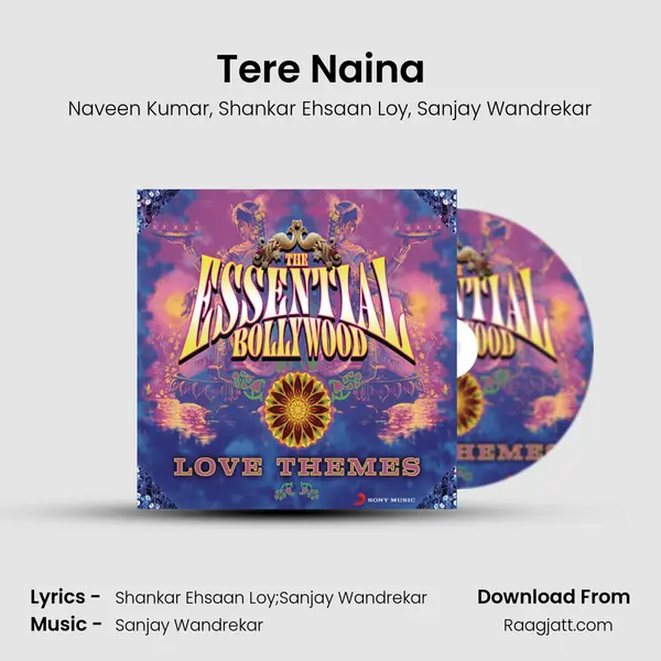 Tere Naina (From My Name Is Khan) (Instrumental) mp3 song