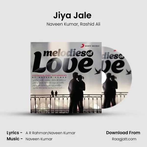 Jiya Jale (Instrumental) - Naveen Kumar album cover 