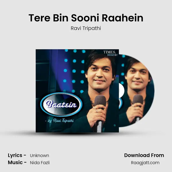 Tere Bin Sooni Raahein - Ravi Tripathi album cover 