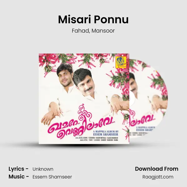 Misari Ponnu mp3 song