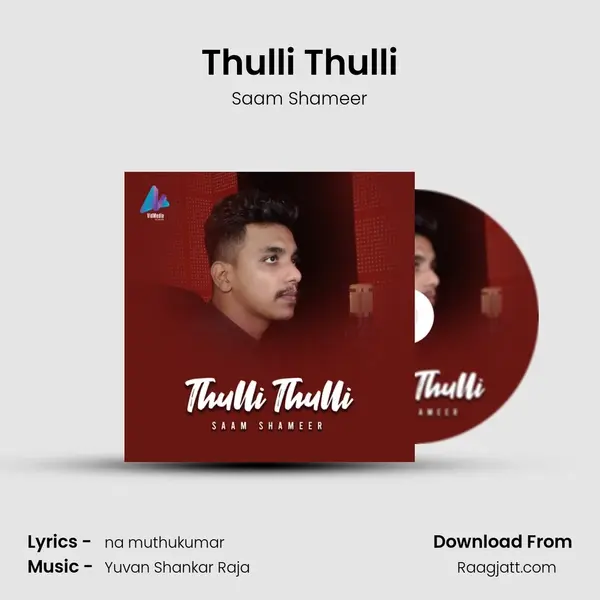 Thulli Thulli - Saam Shameer album cover 