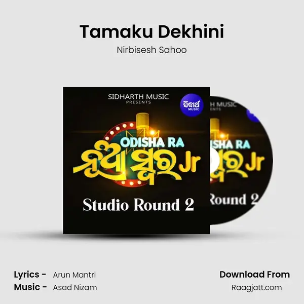 Tamaku Dekhini - Nirbisesh Sahoo album cover 