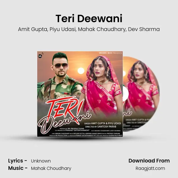 Teri Deewani - Amit Gupta album cover 