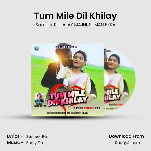 Tum Mile Dil Khilay mp3 song