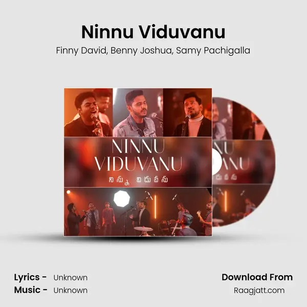 Ninnu Viduvanu - Finny David album cover 