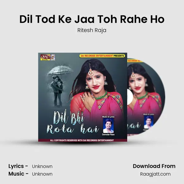 Dil Tod Ke Jaa Toh Rahe Ho mp3 song