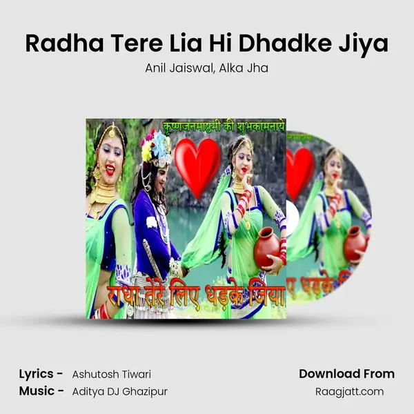 Radha Tere Lia Hi Dhadke Jiya - Anil Jaiswal album cover 