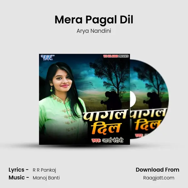 Mera Pagal Dil mp3 song