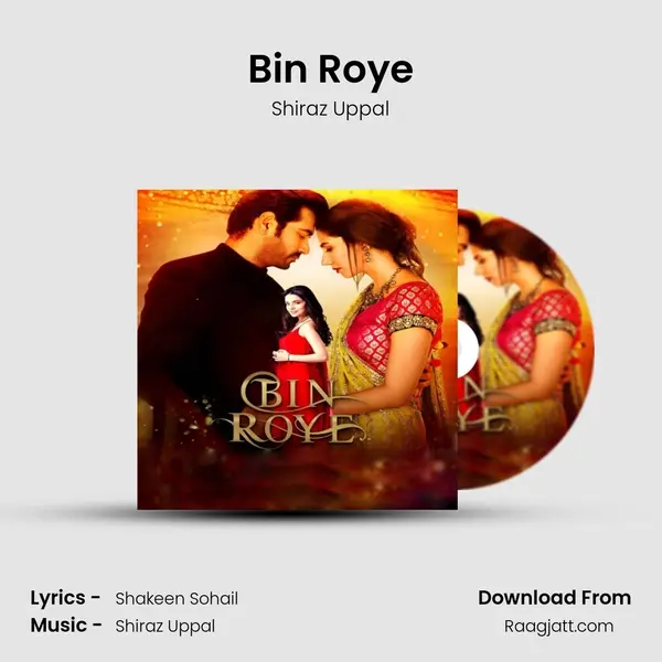 Bin Roye mp3 song