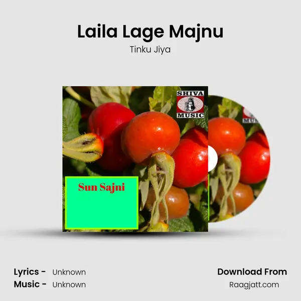 Laila Lage Majnu - Tinku Jiya album cover 