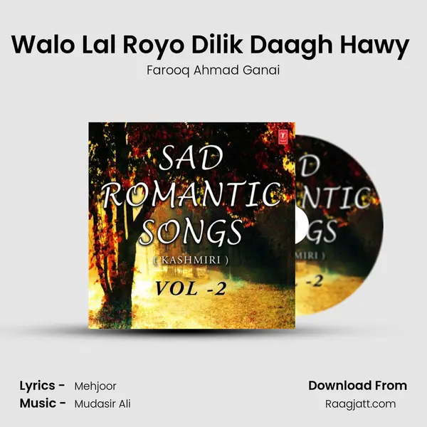 Walo Lal Royo Dilik Daagh Hawy (From Dil Daro Walo) mp3 song