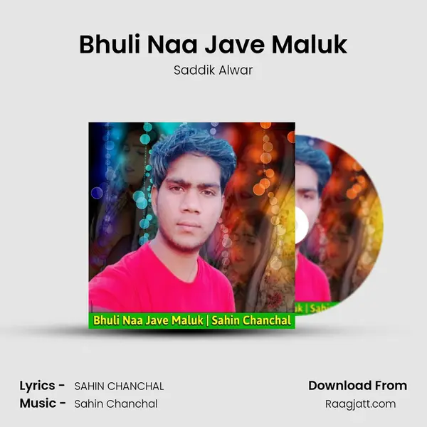 Bhuli Naa Jave Maluk - Saddik Alwar album cover 