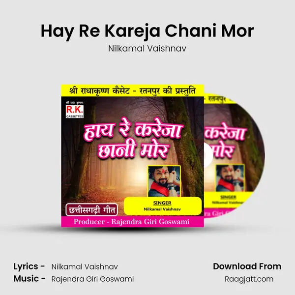 Hay Re Kareja Chani Mor - Nilkamal Vaishnav album cover 