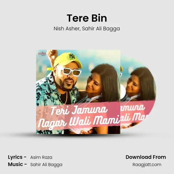 Tere Bin - Nish Asher album cover 