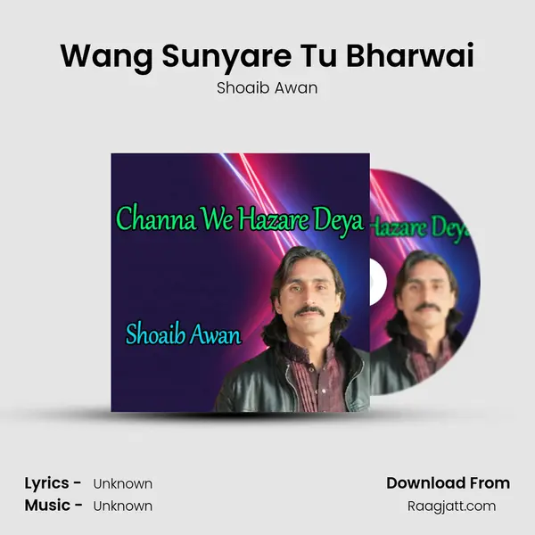 Wang Sunyare Tu Bharwai - Shoaib Awan album cover 