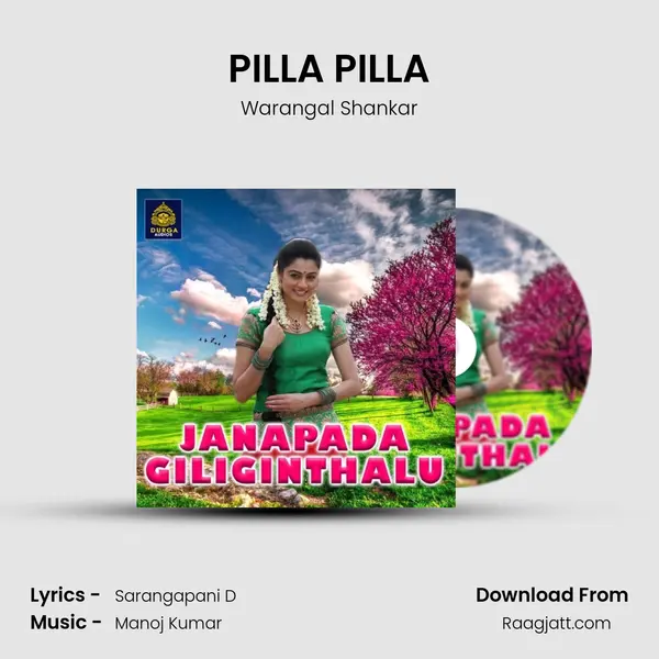 PILLA PILLA - Warangal Shankar album cover 