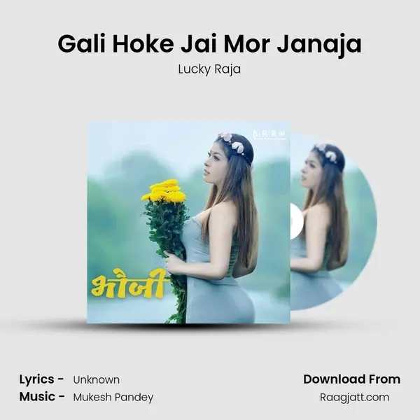 Gali Hoke Jai Mor Janaja mp3 song