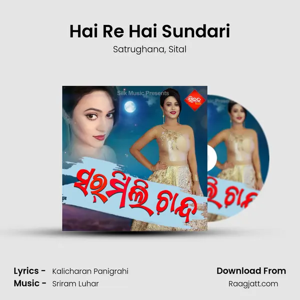 Hai Re Hai Sundari - Satrughana album cover 