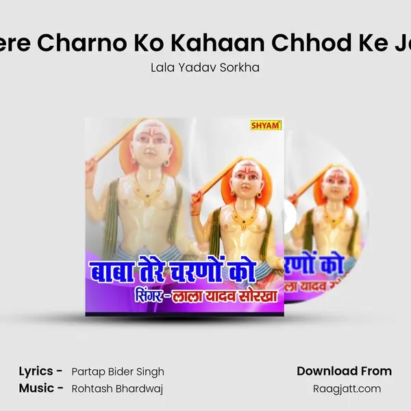 Baba Tere Charno Ko Kahaan Chhod Ke Jana Hai mp3 song