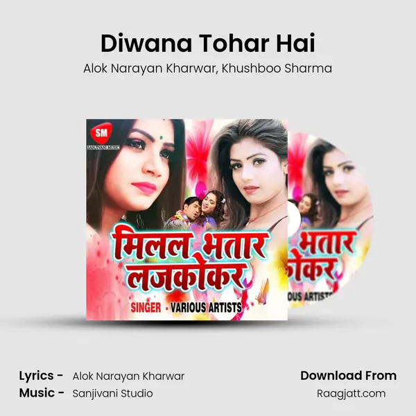 Diwana Tohar Hai - Alok Narayan Kharwar album cover 