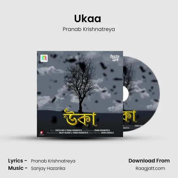 Ukaa (Pranab Krishnatreya Version) - Pranab Krishnatreya album cover 