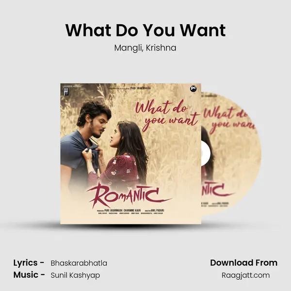 What Do You Want mp3 song