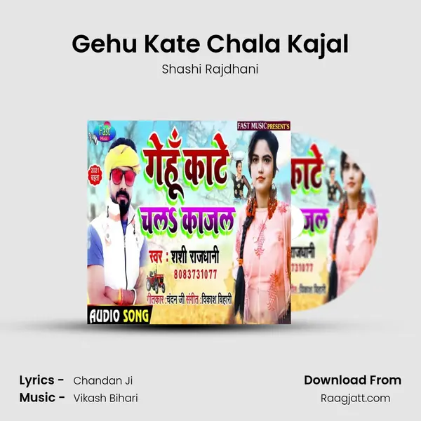 Gehu Kate Chala Kajal - Shashi Rajdhani mp3 song