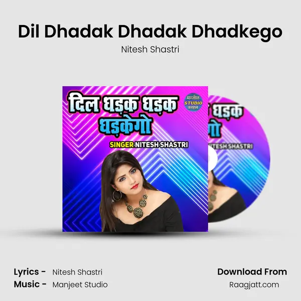 Dil Dhadak Dhadak Dhadkego - Nitesh Shastri album cover 