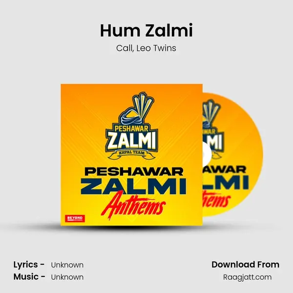 Hum Zalmi mp3 song