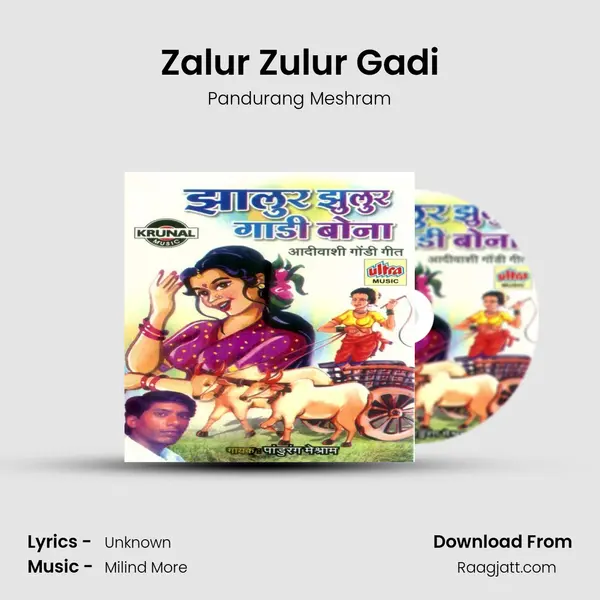 Zalur Zulur Gadi - Pandurang Meshram album cover 