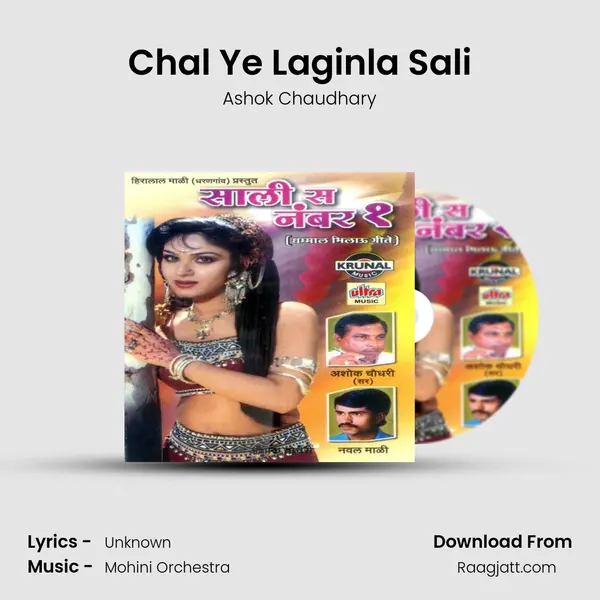 Chal Ye Laginla Sali - Ashok Chaudhary album cover 