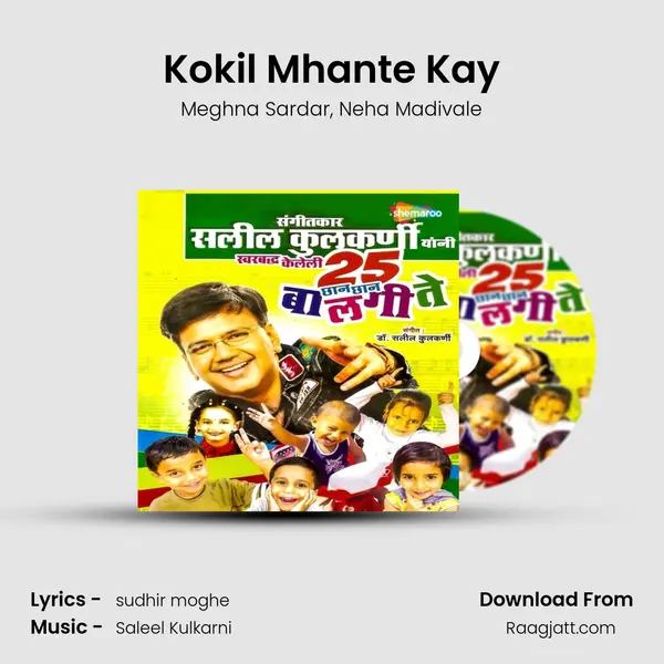 Kokil Mhante Kay mp3 song