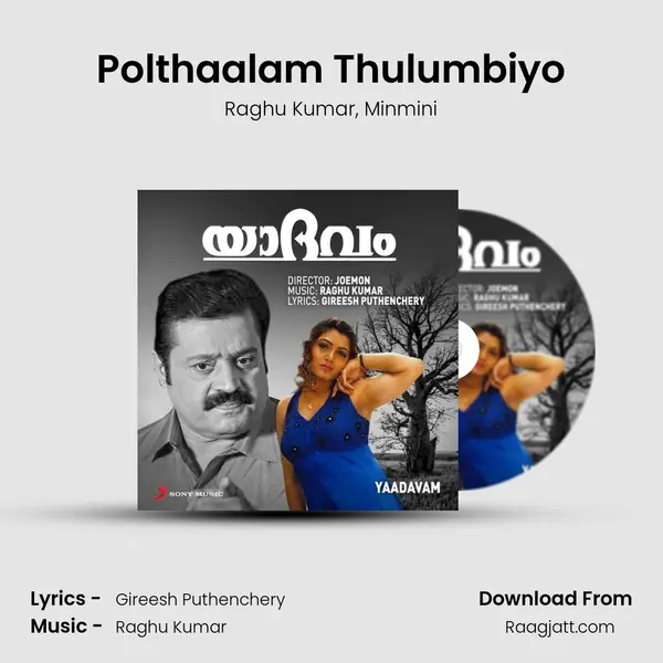 Polthaalam Thulumbiyo - Raghu Kumar album cover 