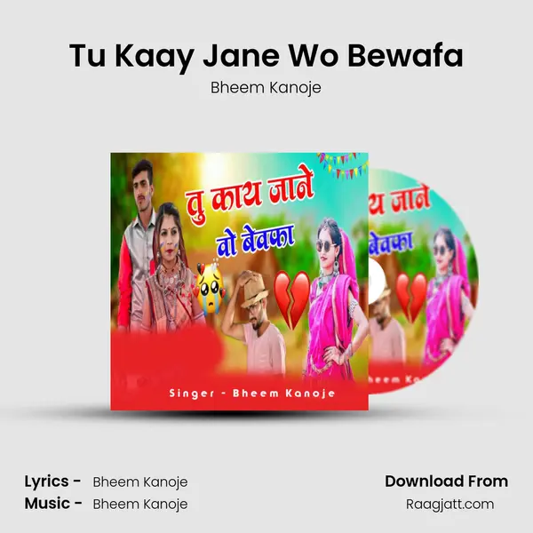 Tu Kaay Jane Wo Bewafa - Bheem Kanoje album cover 