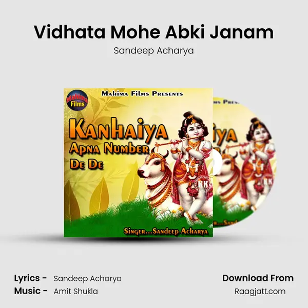 Vidhata Mohe Abki Janam mp3 song