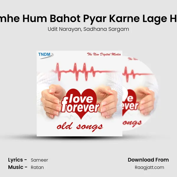 Tumhe Hum Bahot Pyar Karne Lage Hain - Udit Narayan album cover 