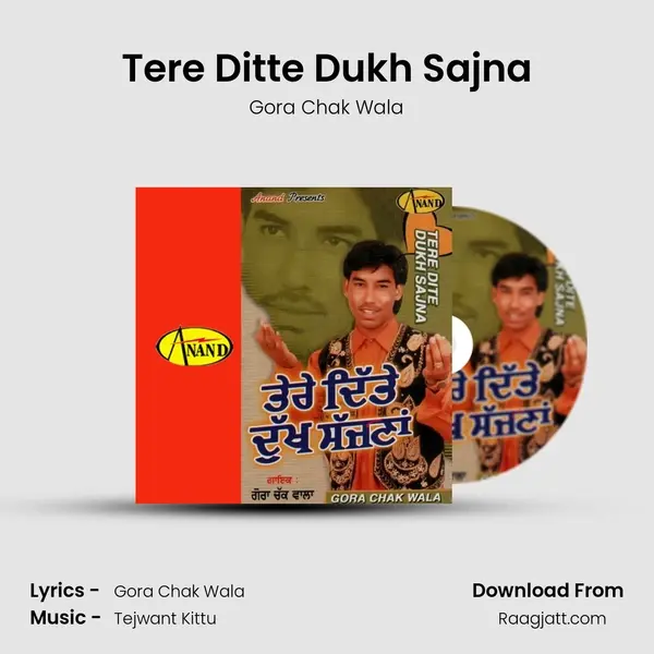 Tere Ditte Dukh Sajna mp3 song