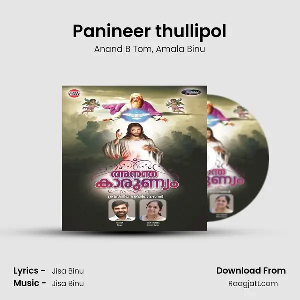 Panineer thullipol - Anand B Tom album cover 