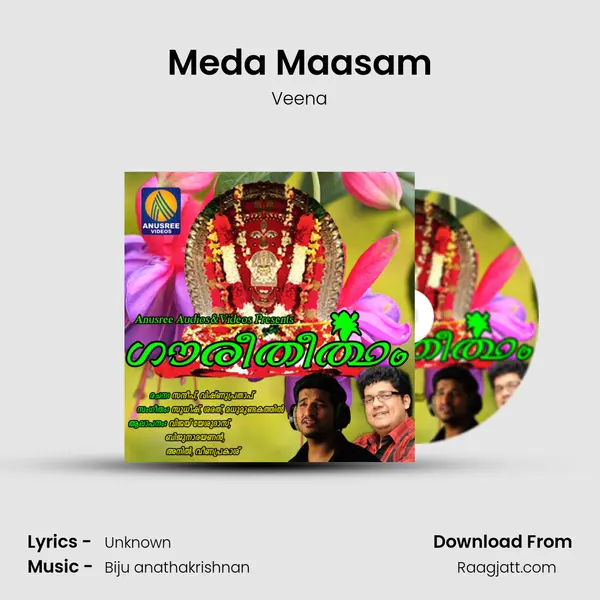 Meda Maasam - Veena album cover 