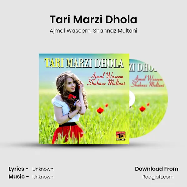 Tari Marzi Dhola mp3 song