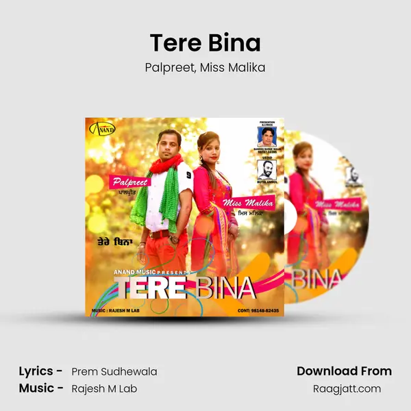 Tere Bina - Palpreet album cover 