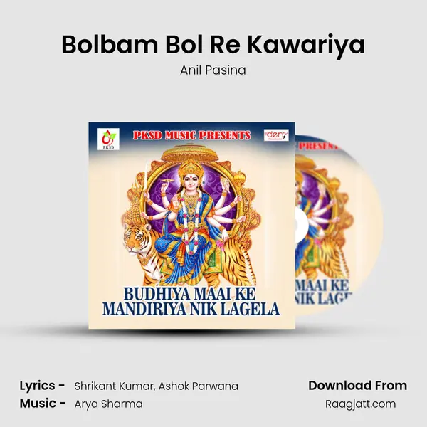 Bolbam Bol Re Kawariya - Anil Pasina album cover 